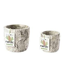 Burgon & Ball Silver Birch Plant Pot